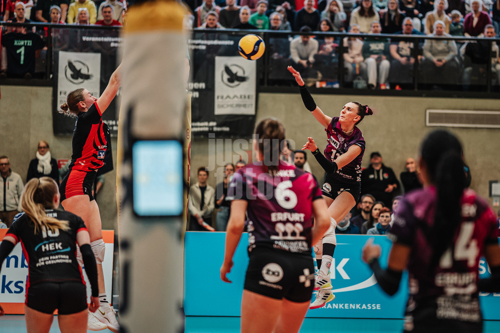 Volleyball | Frauen | Saison 2025/2026 | Volleyball Bundesliga | ETV Hamburger Volksbank Volleys vs. Schwarz-Weiß Erfurt | 15.02.2026 | Isabel Kovacic (#11, Schwarz-Weiß Erfurt) beim Angriff