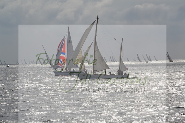 DSC_0212 | fotografie-jill-carstens