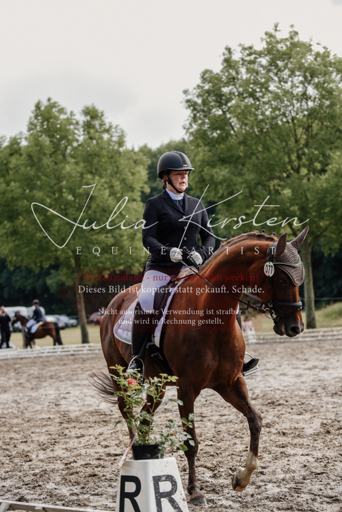 DSC_9266 | Pferde- und Turnierfotografie in Westsachsen. Pferdeportraits, Auftragszeichnungen und intuitive Kunst.