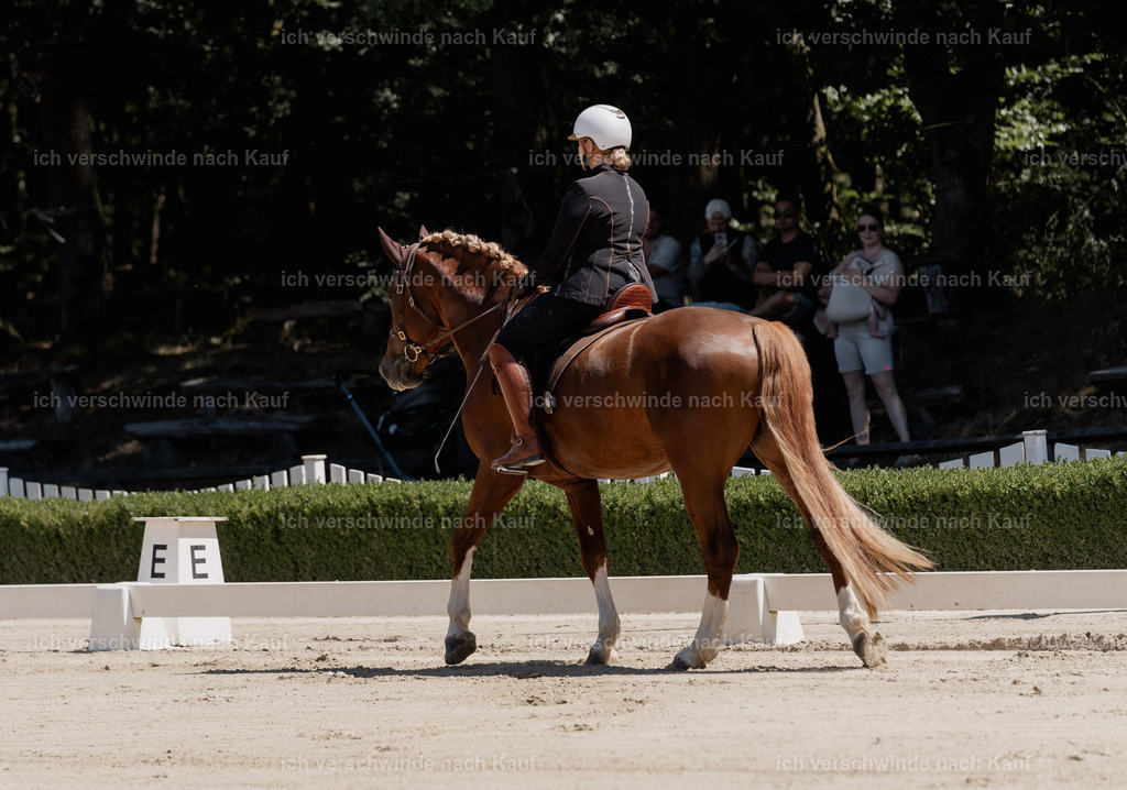 WE_DR_16_SinaFilmArt_IN02928 | working equitationturnier fotograf videograf stoibphotography marixx film working equitation deutschland reitsport turnierfotografie eventfotografie equestrian events