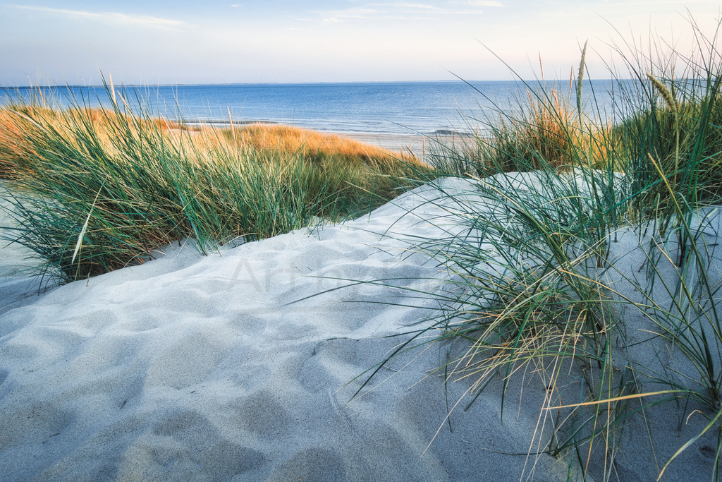 Lieblingsplatz | Blick von einer Düne auf die Nordsee in Zeeland - Realisiert mit Pictrs.com