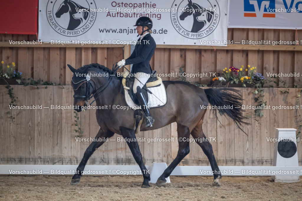 _D5A5006 | Emotionale Pferde- & People-Fotografie rund um Heidelberg, Leimen & Umgebung. Natürliche Fotos von Pferd, Mensch & Familie. Jetzt Termin sichern!