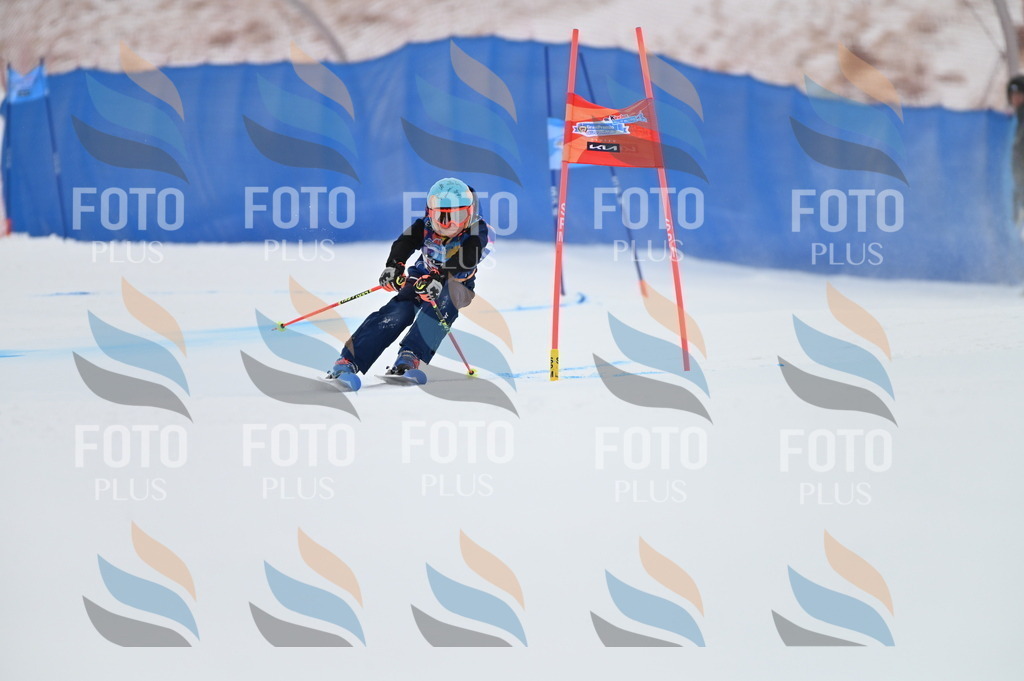 BGV_9929 | holidayphoto