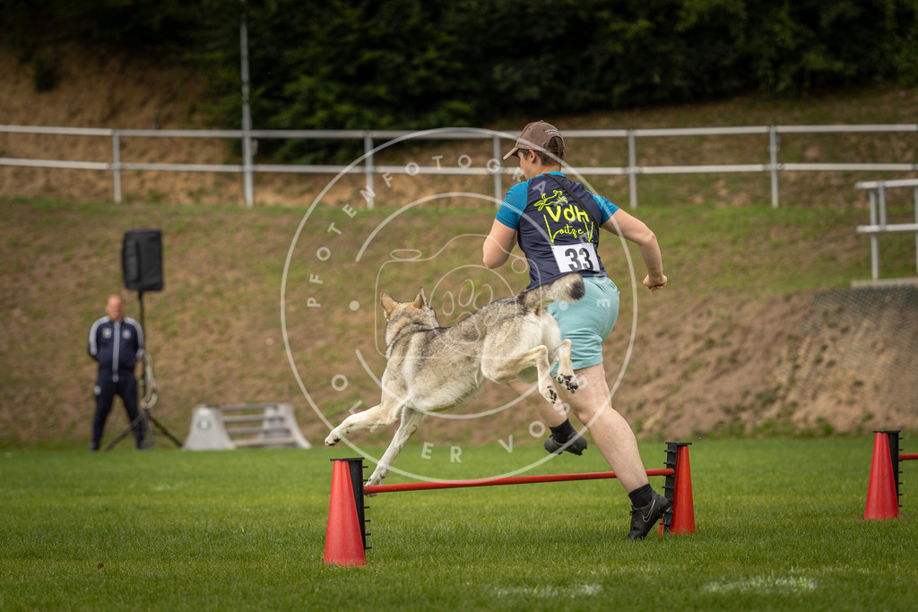 Pfotenfotografie_DV3A1718 | Hundefotografie, Tierfotograf, Pfotenfotografie, Fotoshooting Hund, Hunde Portrait, Hundesport, Hundeportraits, Heideshooting, Hunde, Sportfotograf, Hundefotograf, Turnierhundsport, THS,  - Realisiert mit Pictrs.com