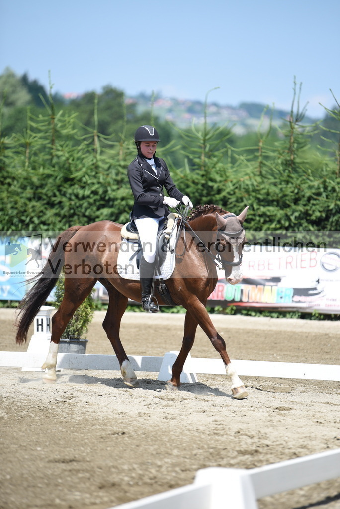 DSC_8829 | equestrian-live-com