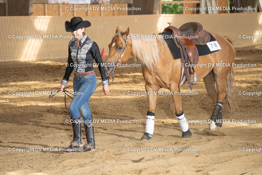 DSC00331 | dv-media-shop - Realisiert mit Pictrs.com