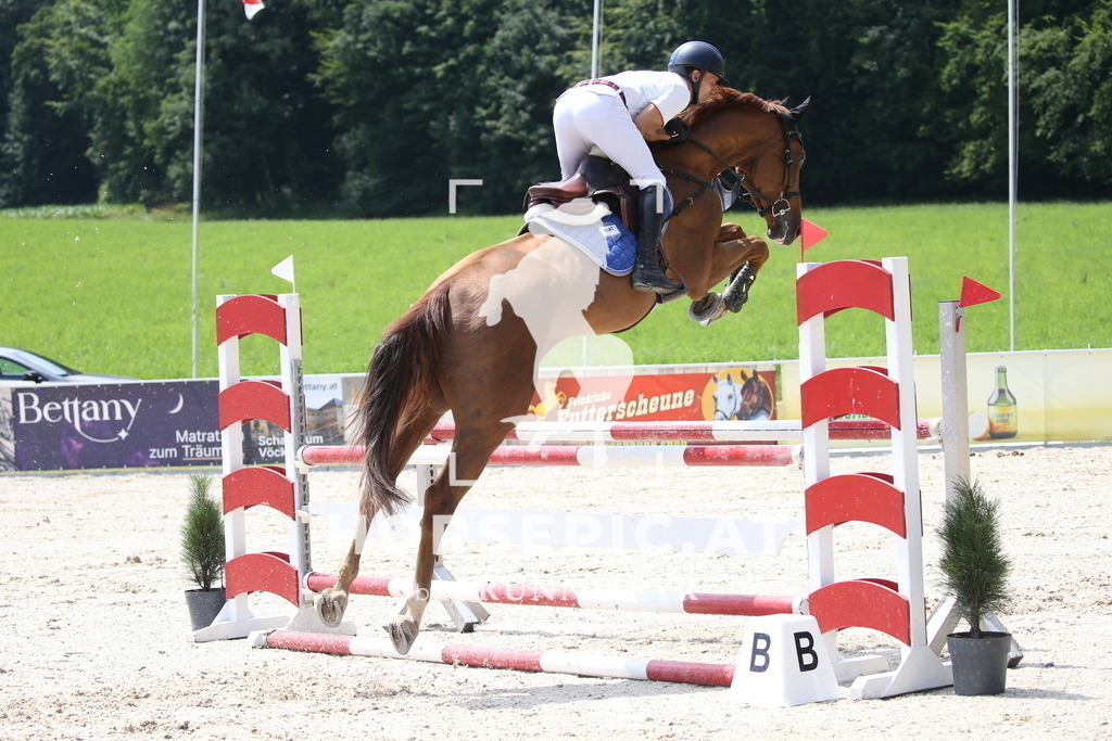 DL2Q0125 | Willkommen bei Brunnmayr - Design & Fotografie – Ihrem Spezialisten für Reitturniere und Pferdeveranstaltungen in Oberösterreich, Salzburg und Bayern! Seit über 17 Jahren sind wir leidenschaftlich dabei.