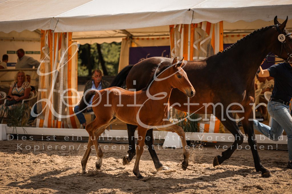 09.DoWBD00047 | Leoni Ertmer Photography - Realisiert mit Pictrs.com