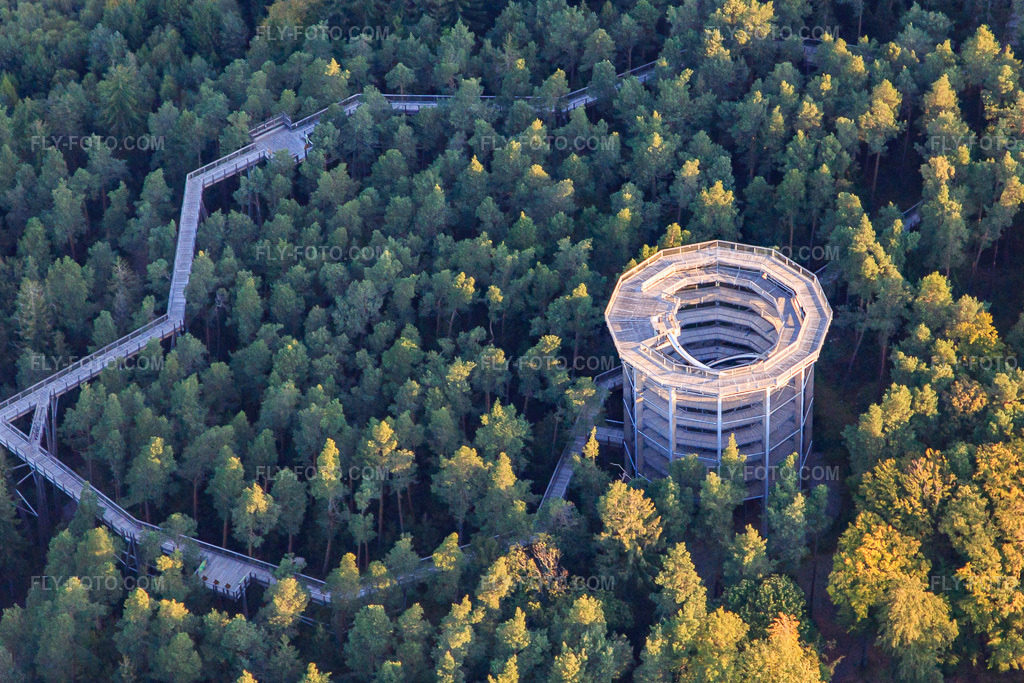 Aerial view: Treetop Walkway Alsace in Cleebourg in the state Bas-Rhin, France. – Photo: IMG_138841.jpg taken on 09/24/2023 by Werner Riehm/FLY-FOTO.com – Resolution of the original: 4205 x 2803 px – den Baumwipfelpfaden der Erlebnis Akademie AG!