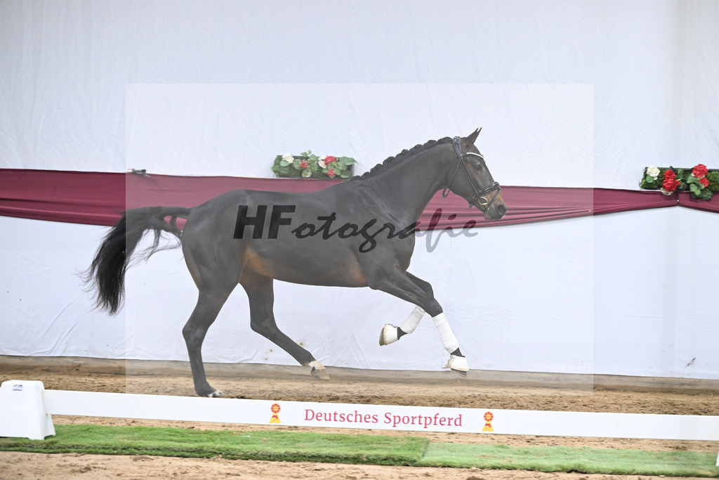 Kat-Nr. 46 Zenetti x Ritz Carlton_Udo Kast_47251643 | hf-fotografie - Realisiert mit Pictrs.com