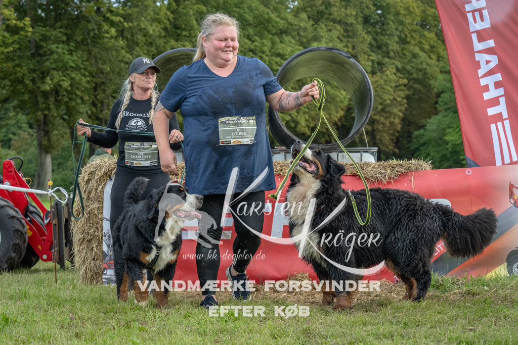 1100_ZZ93638 | kk-dogfotos