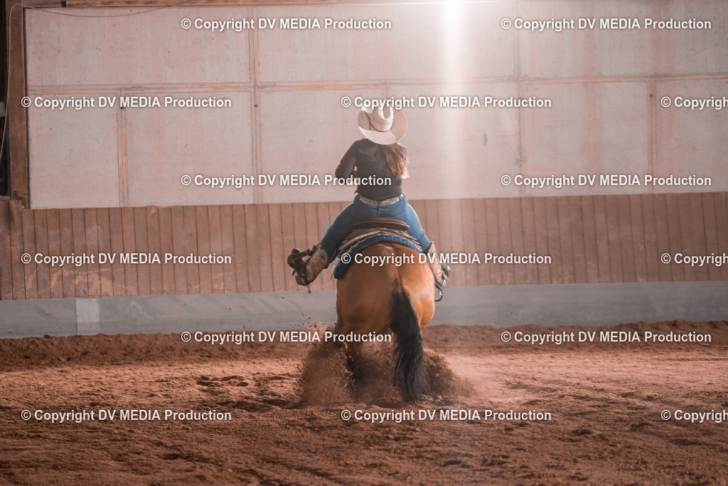 NE201454 | dv-media-shop - Realisiert mit Pictrs.com