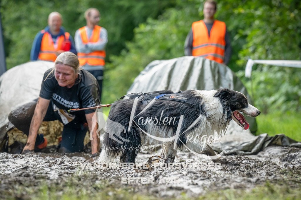 1100_ZZ93291-Bearbeitet | kk-dogfotos