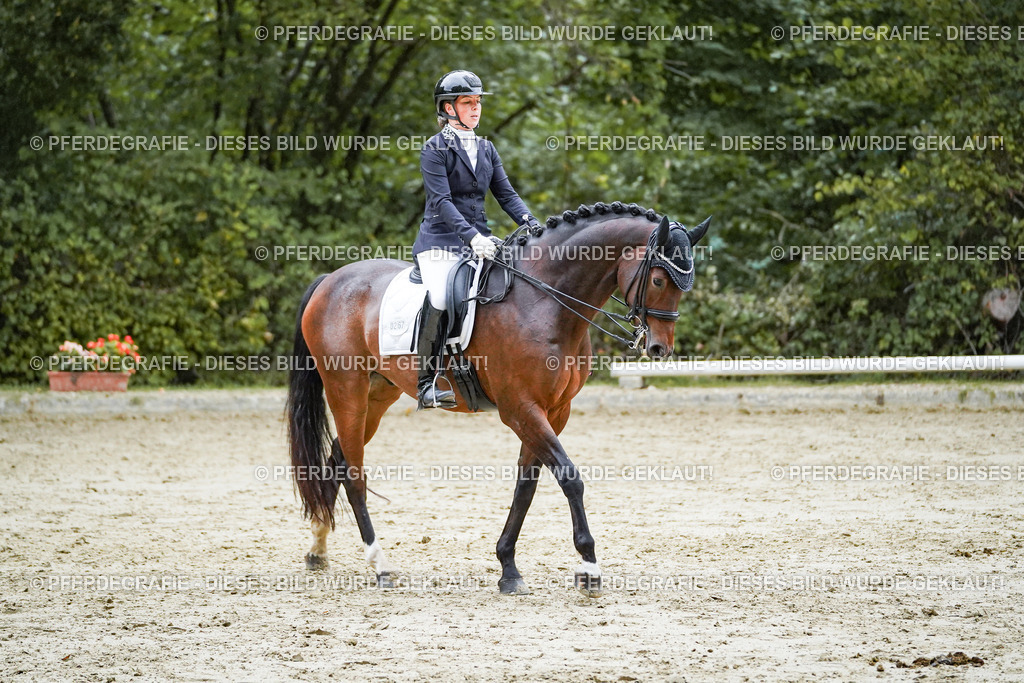 DSC00295 | Pferdegrafie