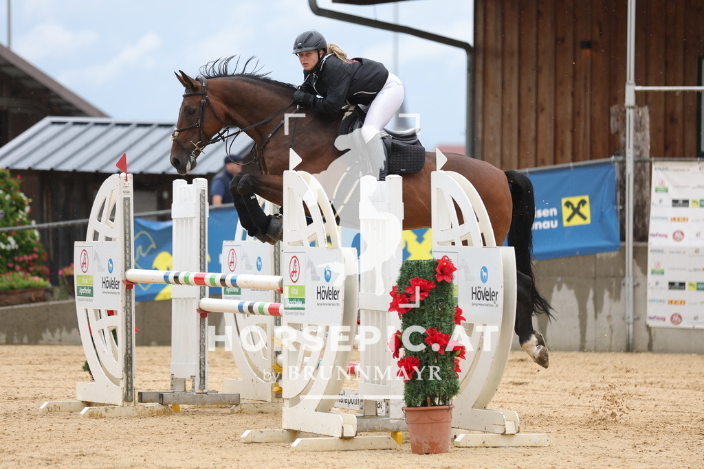 0P6A2816 | Willkommen bei Brunnmayr - Design & Fotografie – Ihrem Spezialisten für Reitturniere und Pferdeveranstaltungen in Oberösterreich, Salzburg und Bayern! Seit über 17 Jahren sind wir leidenschaftlich dabei.