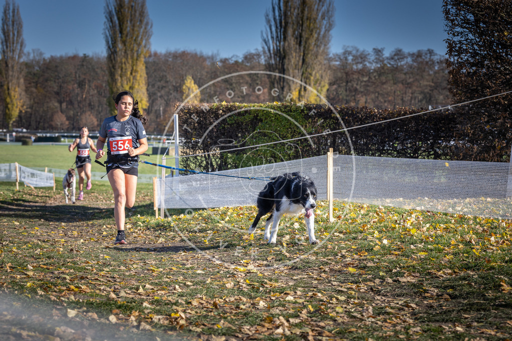 CaniXpix_DV3A8612 | Hundefotografie, Tierfotograf, Pfotenfotografie, Fotoshooting Hund, Hunde Portrait, Hundesport, Hundeportraits, Heideshooting, Hunde, Sportfotograf, Hundefotograf, Turnierhundsport, THS,  - Realisiert mit Pictrs.com