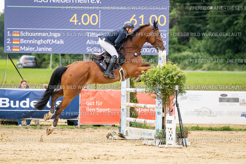 DSC06057 | Pferdegrafie