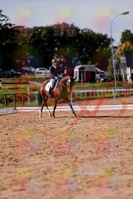2026_10_03_Siefer-Hof_125727_Z81_45636704 | Professionelle Reitsport-, Turnier- und Eventfotografie von Robert Broda. Galerien mit ausgewählten und bearbeiteten Bildern direkt online ansehen und bestellen.