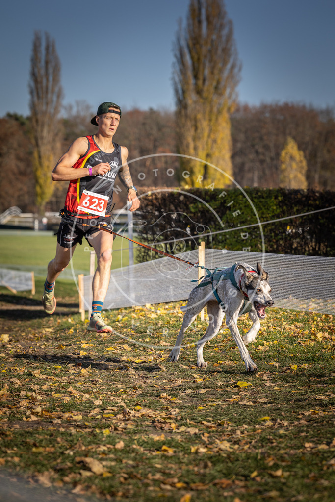 CaniXpix_DV3A9963 | Hundefotografie, Tierfotograf, Pfotenfotografie, Fotoshooting Hund, Hunde Portrait, Hundesport, Hundeportraits, Heideshooting, Hunde, Sportfotograf, Hundefotograf, Turnierhundsport, THS,  - Realisiert mit Pictrs.com