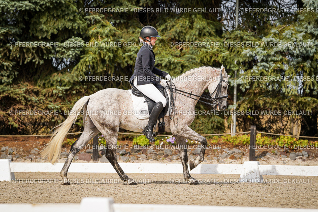 DSC07128 | Pferdegrafie