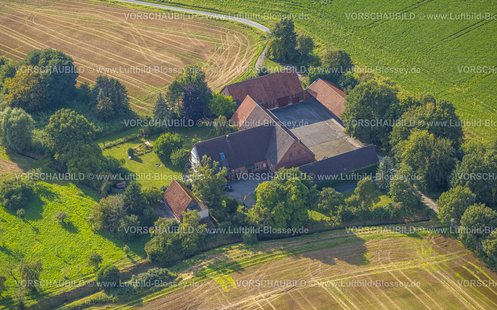 Beckum230805563 | Luftbild, Landwirtschaftlicher Betrieb Heimann, Roland, Beckum, Münsterland, Nordrhein-Westfalen, Deutschland