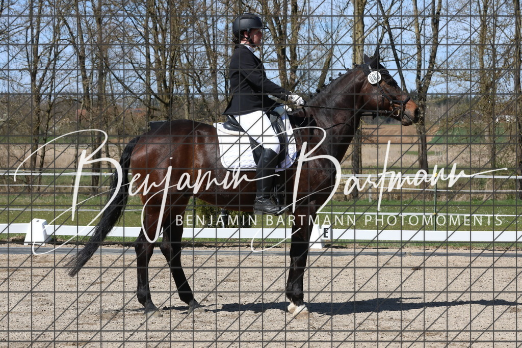 AZ2A4368 | Benjamin Bartmann Photomoments