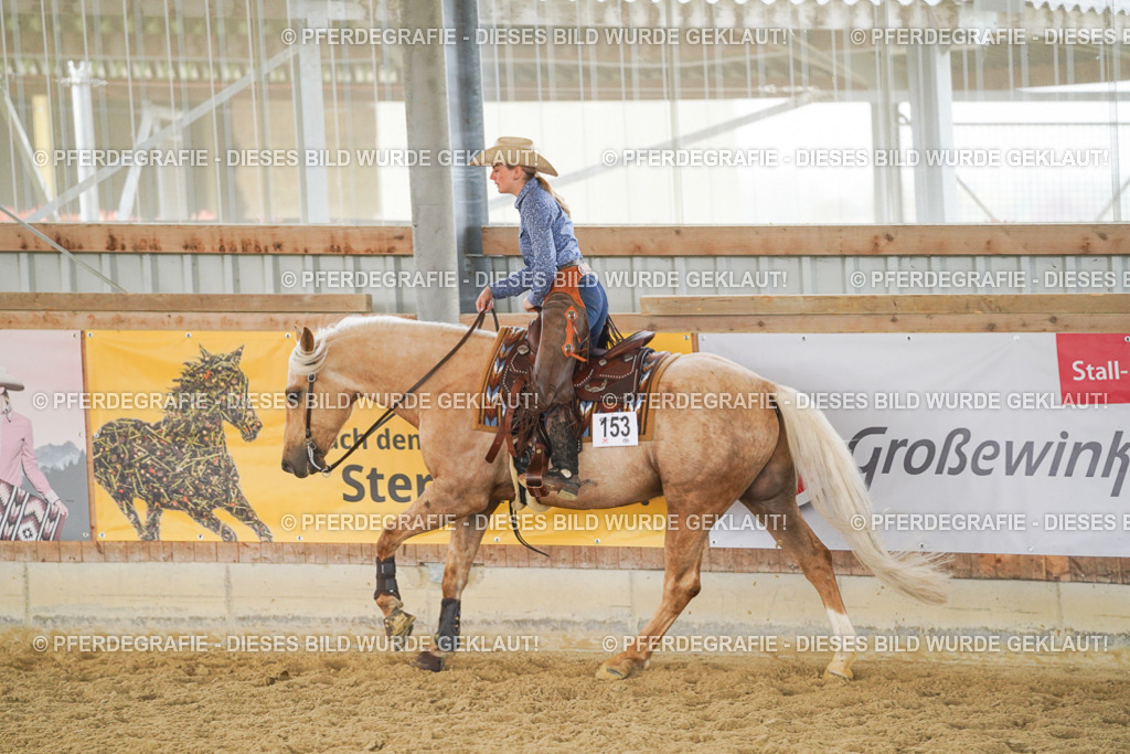 DSC05915 | Pferdegrafie