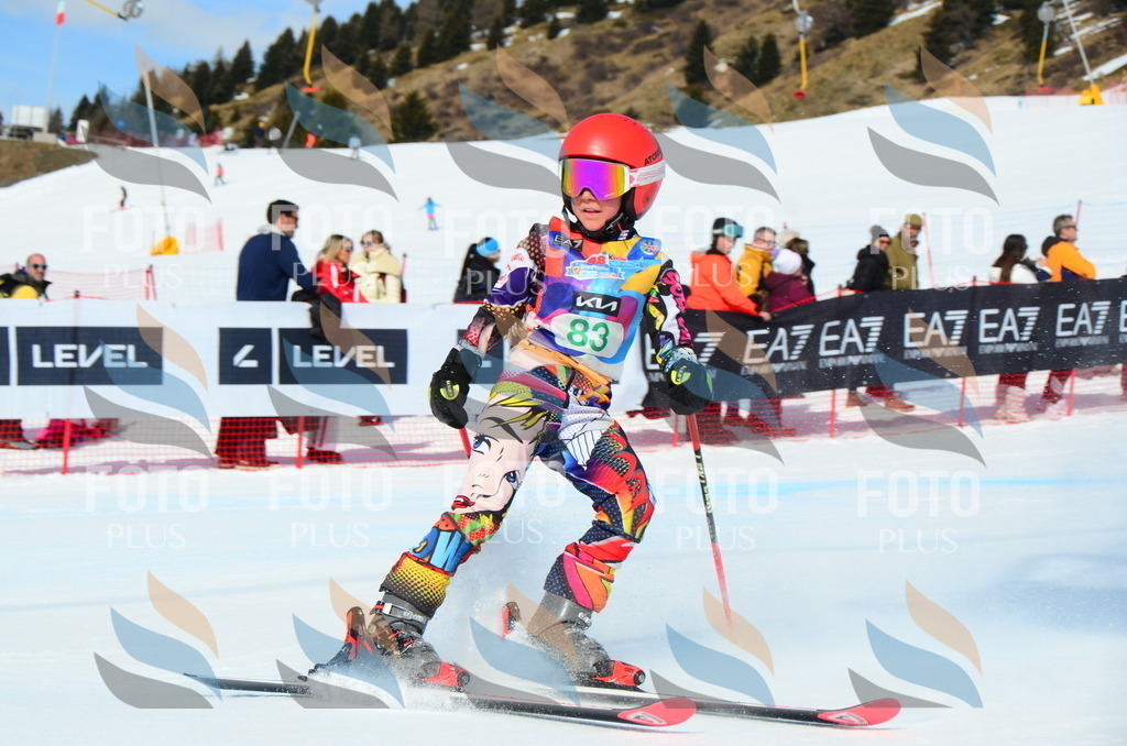 DSC_0528 | holidayphoto