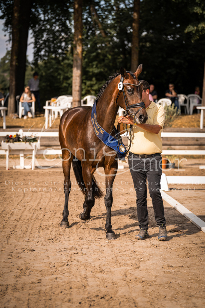 FrER00205 | Leoni Ertmer Photography - Realisiert mit Pictrs.com