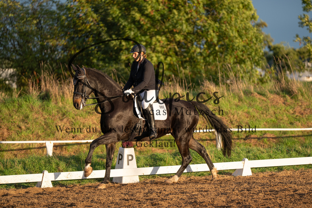 A7V06153 | Pferdefotograf