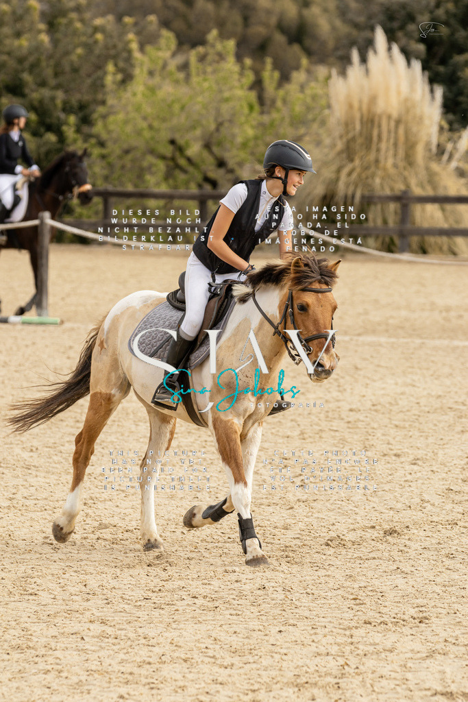 IMG_4517 | s-jay-photography - Realisiert mit Pictrs.com