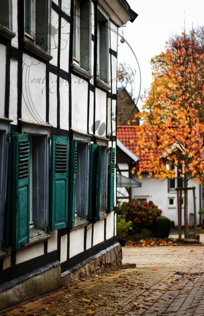 Fachwerkhaus mit Fensterläden 002 | only.this.little.world - Realisiert mit Pictrs.com