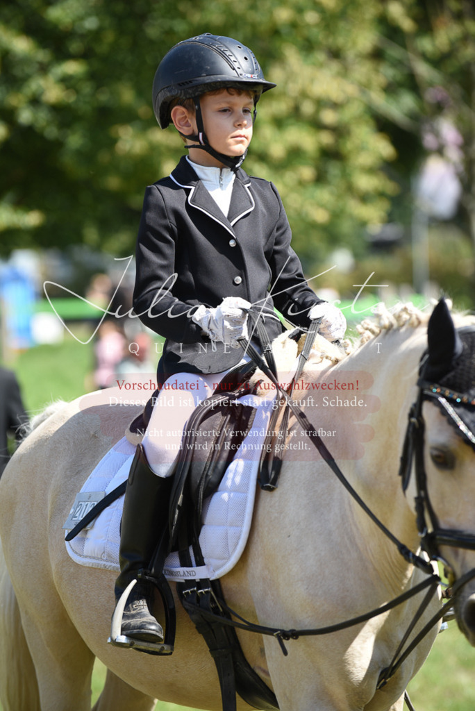 DSC_9667 | Pferde- und Turnierfotografie in Westsachsen. Pferdeportraits, Auftragszeichnungen und intuitive Kunst.