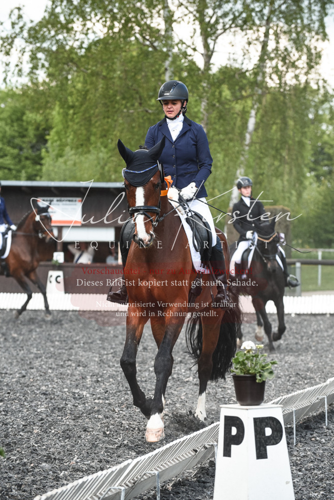 DSC_9107 | Pferde- und Turnierfotografie in Westsachsen. Pferdeportraits, Auftragszeichnungen und intuitive Kunst.