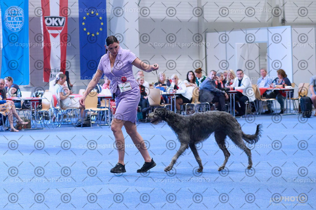 202406_ÖKV-IHA-Tulln24_DSC_4240 | proPHOTO - Realisiert mit Pictrs.com