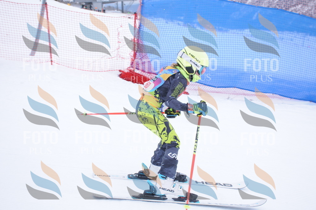 DSC_7998 | holidayphoto