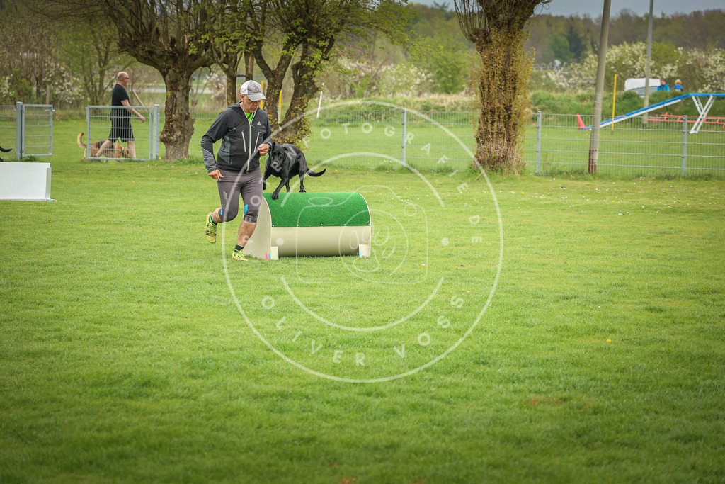 Pfotenfotografie_0L8A9545 | Hundefotografie, Tierfotograf, Pfotenfotografie, Fotoshooting Hund, Hunde Portrait, Hundesport, Hundeportraits, Heideshooting, Hunde, Sportfotograf, Hundefotograf, Turnierhundsport, THS,  - Realisiert mit Pictrs.com