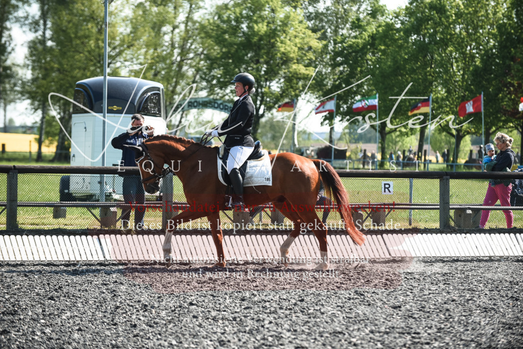 DSC_8738 | Pferde- und Turnierfotografie in Westsachsen. Pferdeportraits, Auftragszeichnungen und intuitive Kunst.
