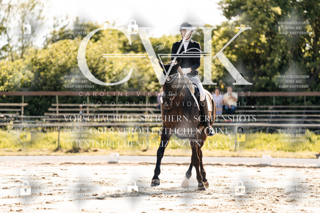 CK909232 | Turnierfotografie Pferdefotografie Trier Rheinland-Pfalz Pferdesport Reitsport Tierfotografie Sportfotografie Pferdevideo Pferdevideografie Equestrianvideography equestrianphotography  - Realisiert mit Pictrs.com