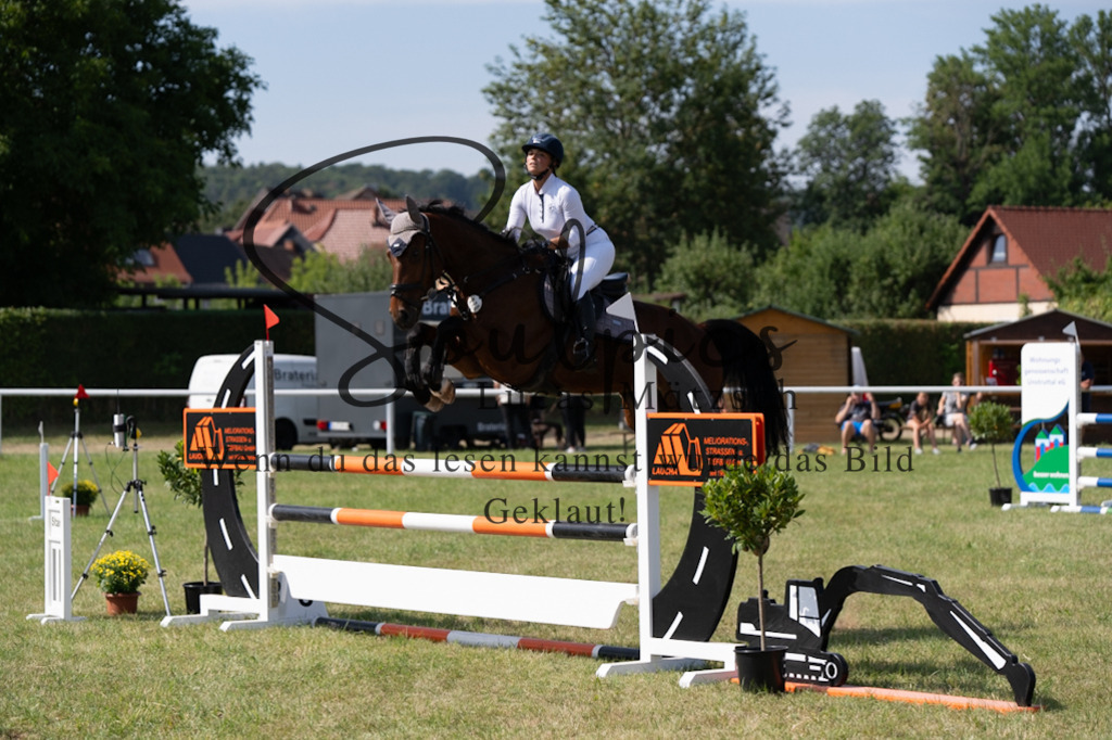 A7V01555 | Pferdefotograf