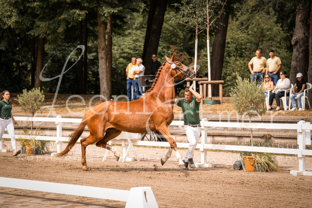 4.Fr00145 | Leoni Ertmer Photography - Realisiert mit Pictrs.com