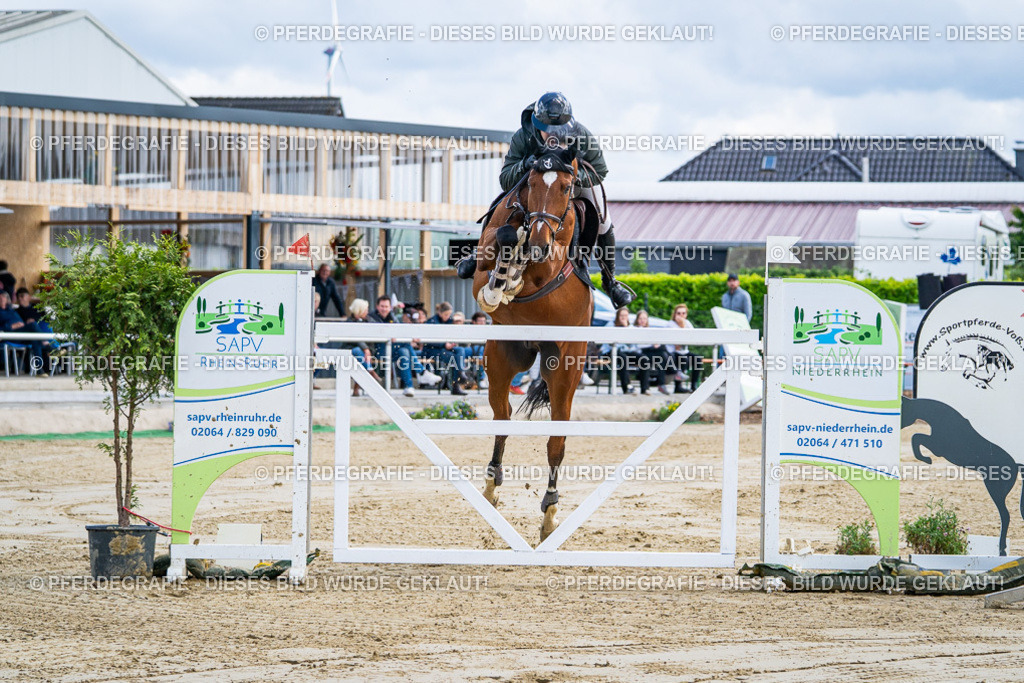 DSC05257 | Pferdegrafie