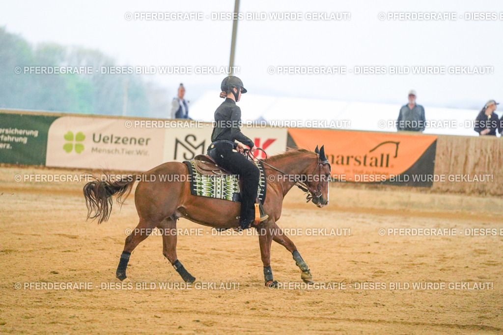 DSC09498 | Pferdegrafie