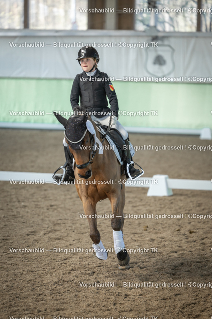 _D5A8635 | Emotionale Pferde- & People-Fotografie rund um Heidelberg, Leimen & Umgebung. Natürliche Fotos von Pferd, Mensch & Familie. Jetzt Termin sichern!