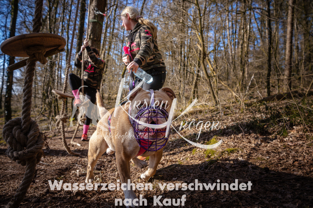 0922_ZZ97515 | kk-dogfotos
