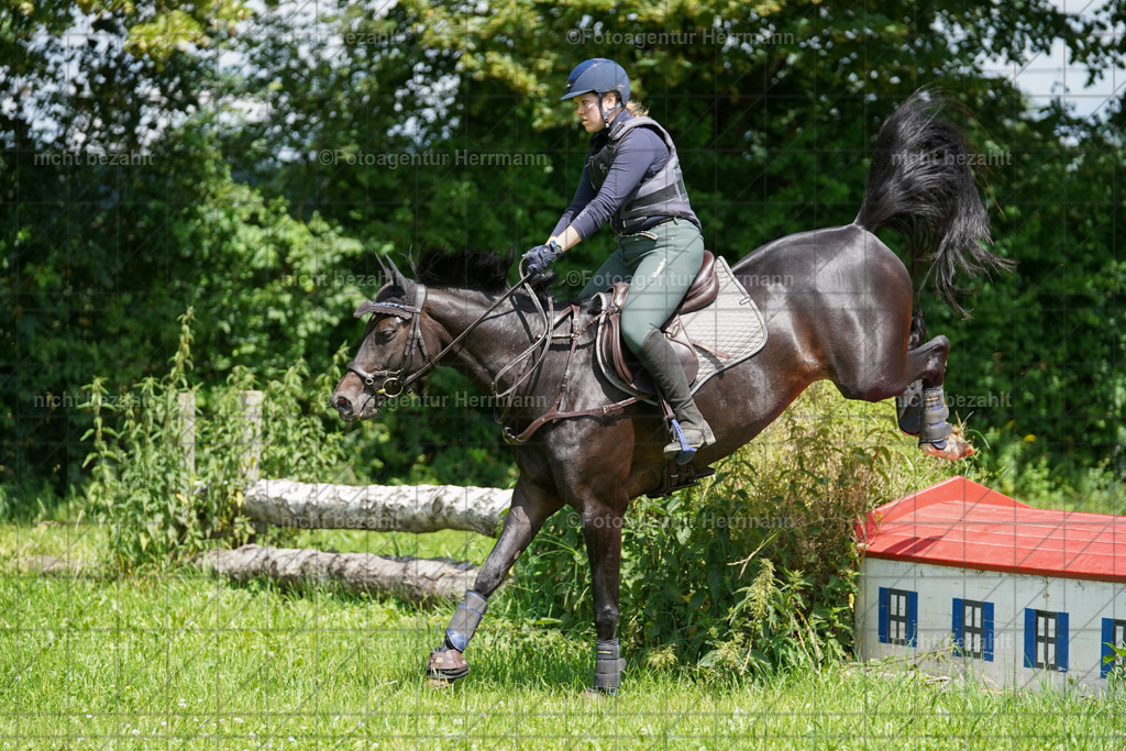 20240622-FAH06786 | Turnierfotografen Bayern, Reitsportbilder aus dem Geländekurs mit Felix Etzel auf dem Gut Waitzacker 2024