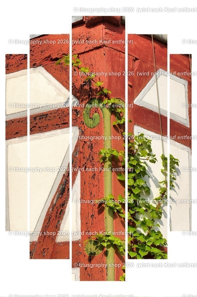 2022-04-29_FT-125_Oberkaufungen_DSC_0449_b-095_pe (Kopie) | titusgraphy-shop: Geschenkideen mit Qualitätsfotos. titusgraphy-shop: gift ideas with quality photos. titusgraphy-shop: idées cadeaux avec photos de qualité.  - Realisiert mit Pictrs.com