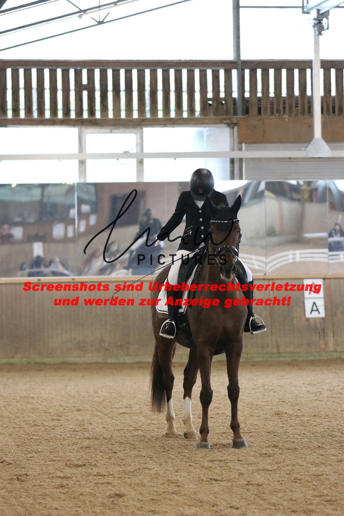 IMG_6403 | lmwpictures - Realisiert mit Pictrs.com