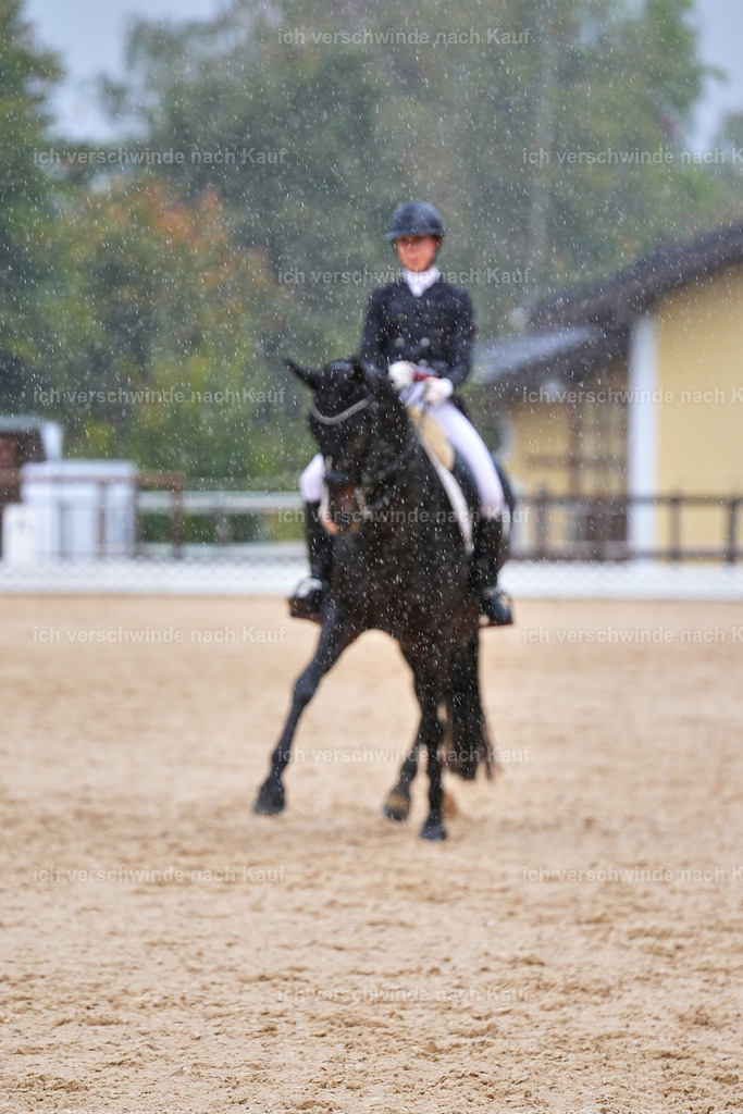 8_1-027-Klasse S_  -Marixx-4392 | working equitationturnier fotograf videograf stoibphotography marixx film working equitation deutschland reitsport turnierfotografie eventfotografie equestrian events