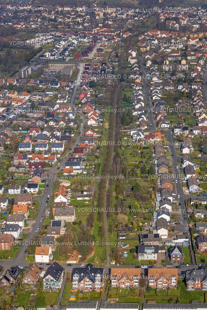 Hamm240306627 | Luftbild, Wohngebiet entlang des Erika-Salomon-Weg, Baumallee, Mitte, Hamm, Ruhrgebiet, Nordrhein-Westfalen, Deutschland